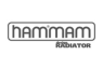 Radim(hammam radiatör)
